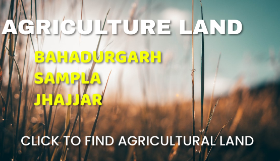 Buy Agriculture land around Bahadurgarh, Jhajjar and Sampla